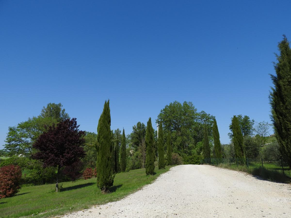Casa Sorgente Bed and Breakfast San Costanzo Εξωτερικό φωτογραφία